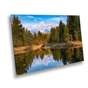 Drinking Bull Moose at Sunrise Schwabacher Landing Reflection Grand Teton National Park Mountain Photo Wall Art Print for Home Decor