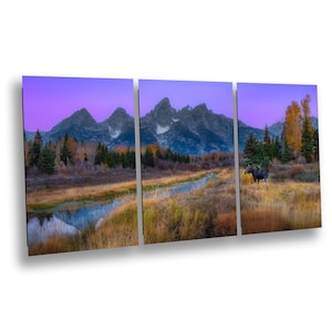 Elch bei Sonnenaufgang im Grand Teton National Park Wand Kunst Dekor Fotografie Druck Geschenk Rustikale Fine Art