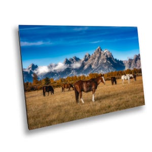 Grand Teton National Park Pferde gegen den Berg Mt. Moran Hintergrund Wand Kunst Dekor Fotografie Geschenk