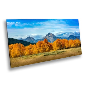 Grand Teton National Park Herbst Farbe Panorama Wand Kunst Dekor Fotografie matt neiern in der Nähe von Oxbow Bend Espen Bäume Geschenk