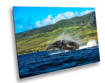 ザトウクジラの写真プリント、マウイビーチハウスアート（ラハイナの海の風景）
