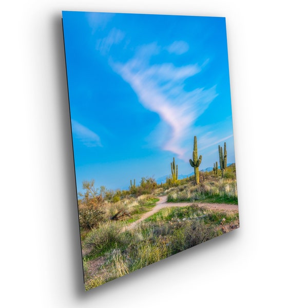 Cactus Junction Long Exposure Sunset - Image with Saguaro Cactus near McDowell Mountain Trail Print Photography Gift with Frame Options