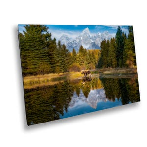 Majestätischer Elch-Stierreflexion Posing bei Sonnenaufgang Schwabacher Landung Grand-Teton-Nationalpark Landschaft Foto Wandkunst Print für Ihre Innendekoration