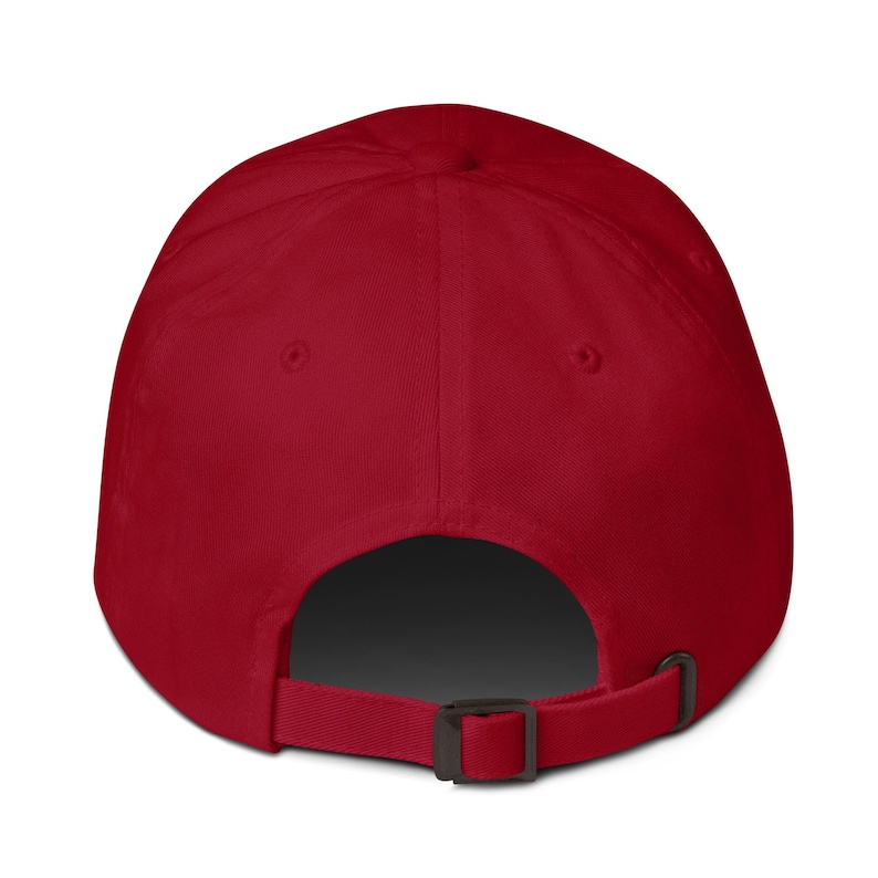 The Vulcan | Avro Vulcan Embroidered Dad Hat image 4