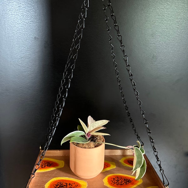 Upcycled Hanging Plant Shelf