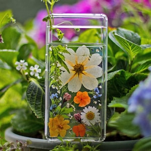 Natürliches Geschenk Gepresste Blume Hülle Für Google Pixel 9 pro xl 7, Pixel 7 pro, Pixel 6, Pixel 6a, 6 Pixel 8 7a Iphone 14 15 max 13