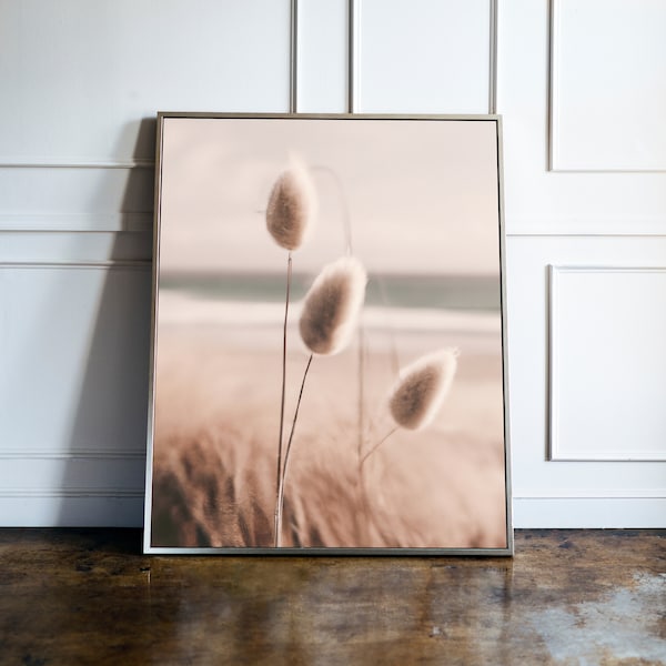 Digital Download Image of an East Coast Beach Focusing on Lagurus Grass