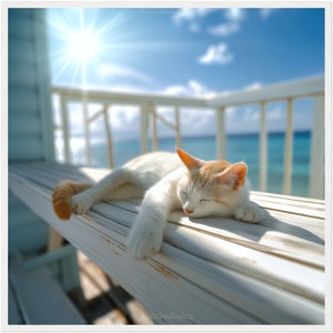 Poster premium|carta semiopaca con o senza cornice in legno|idillio della casa estiva in riva al mare: gatto addormentato|sensazione estiva| arte fotorealistica