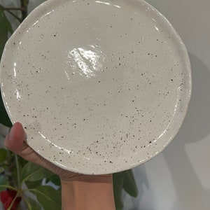 Pre-Order: Speckled Plates