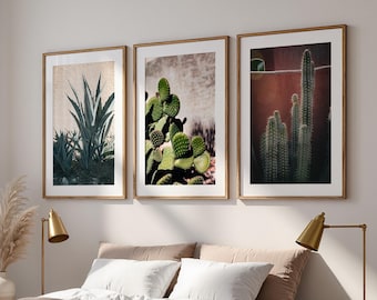Desert Cactus Wall Art (Set of 3): Southwestern Botanical Prints, Arizona Plant Decor, Desert Photography Bundle (Digital Download)