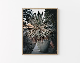 Stampa della pianta del deserto di agave: arredamento moderno del sud-ovest (download digitale)