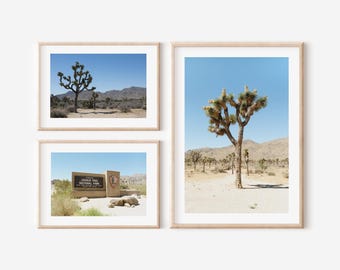 Joshua Tree Wall Art Set of 3: California Desert Photography Gallery Wall (Digital Download)