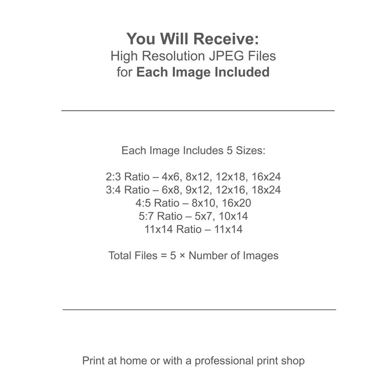 May include: White background with black text detailing the image sizes included. Text reads "You Will Receive: High Resolution JPEG Files for Each Image Included." Includes 5 sizes: 4x6, 8x12, 12x18, 16x24, 6x8, 9x12, 12x16, 18x24, 8x10, 16x20, 5x7, 10x14, and 11x14.