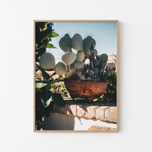 Könnte beinhalten: Gerahmtes Foto eines Kaktus in einem rustikalen, runden Terrakotta-Topf. Der Kaktus hat große, flache, grüne Blätter mit kleinen Stacheln. Der Topf steht auf einer verwitterten Backsteinmauer.