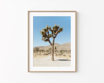 Joshua Tree Wall Art: California Desert Photography, Mojave Desert Landscape, Southwest Nature Decor (Digital Download)
