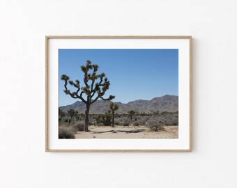Joshua Tree Wall Art: California Desert Landscape Photography (Digital Download)