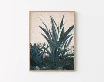 Agaveplantprint: woestijnbotanische fotografie (digitale download)