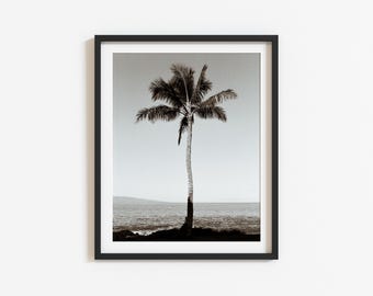 Maui Palm Tree Wall Art: Hawaii Coastal Photography, Black and White, Tropical Beach Decor, Hawaiian Palm Tree Art (Digital Download)