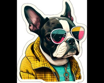 Funny Boston Terrier