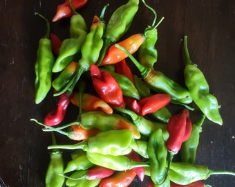 2024 Trinidad Pimento Pepper seeds