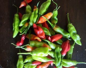 2025 Season Fresh Trinidad Pimento Pepper seeds