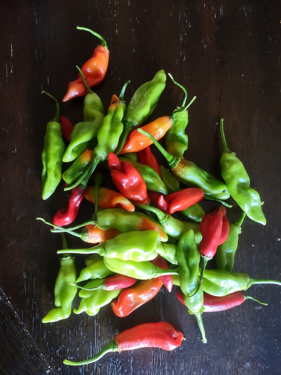 2025 Trinidad Pimento Pepper Seeds - Etsy