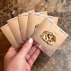 May include: A set of six brown cards with a frog illustration and the text "I hope this email finds you before I do."