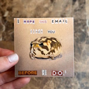 May include: A brown card with the text "I hope this email finds you before I do."  A cartoon illustration of a round, brown and white frog with black eyes is in the center of the card.