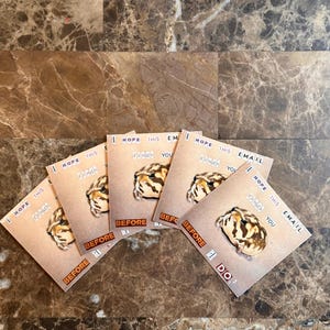 May include: Five brown and white frog stickers with the text "I hope this finds you before I do." on a brown marble surface.