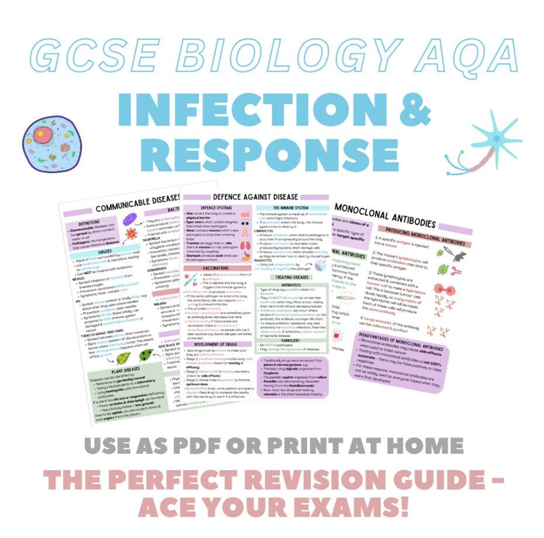 GCSE AQA Biology Infection & Response Revision Notes - Etsy