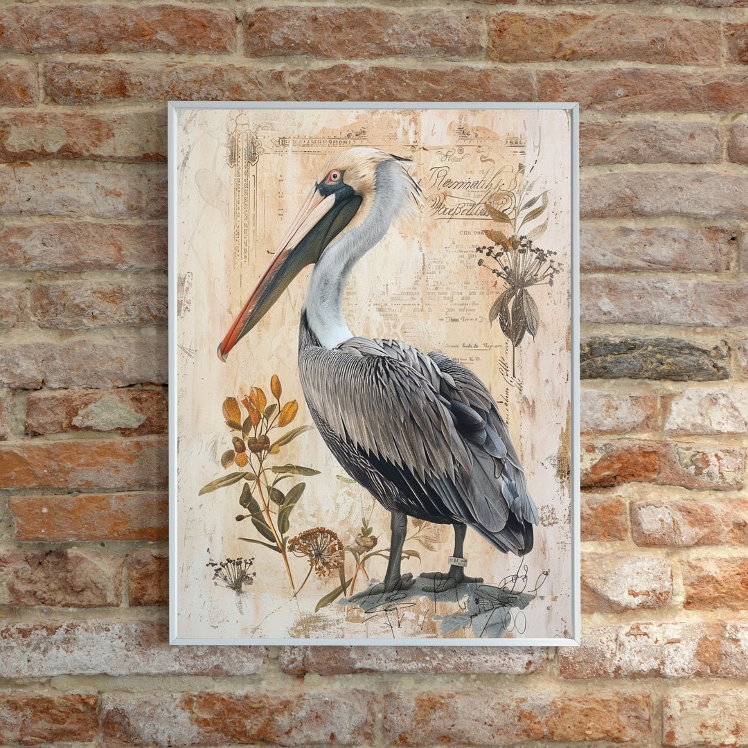 Botanical Pelican Wall Art Beach Poster Print Ocean Framed Canvas ...