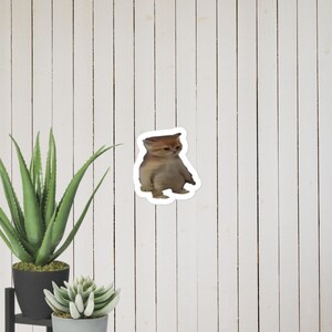 Kleine kat Meme Sticker