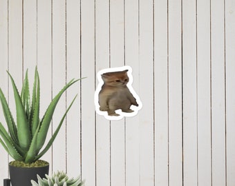 Small cat Meme Sticker