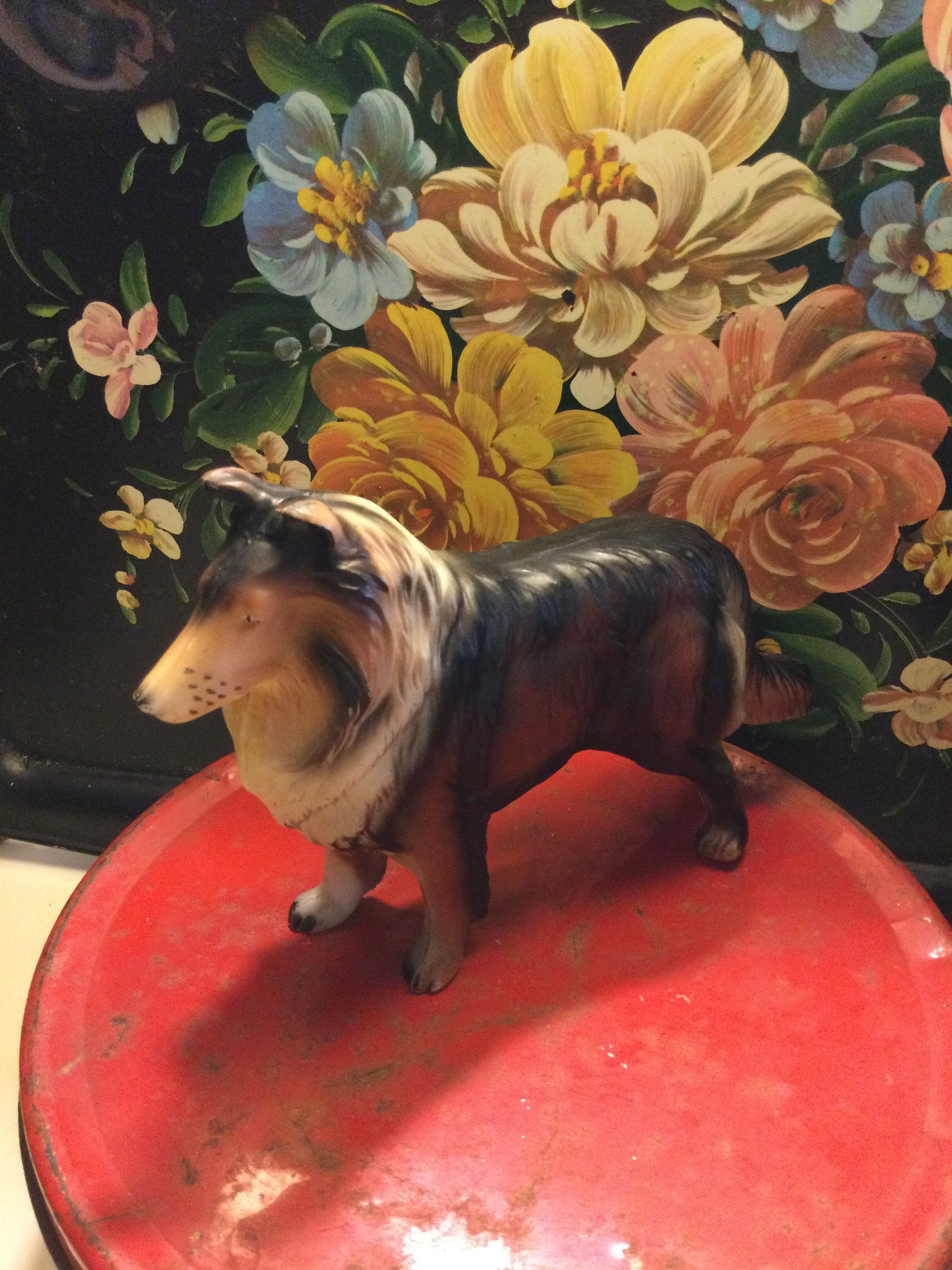 German Sheep Dog -Fotos Und -Bildmaterial In Hoher Auflösung