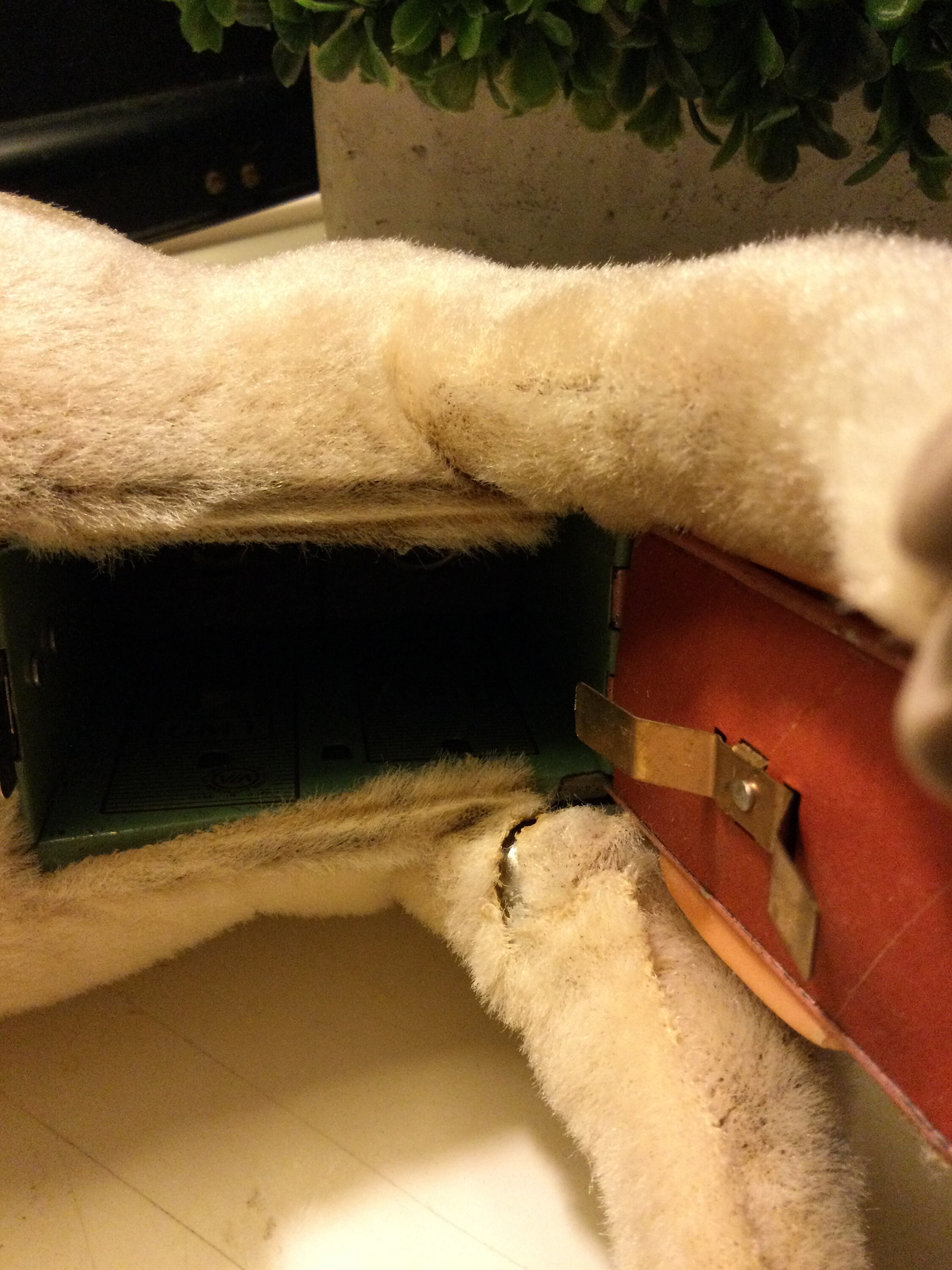 Vintage Rosko 1960s Josie the Cow Mechanical Toy Made in Japan Toy Etsy