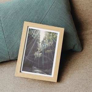 May include: A framed photograph of a sunlit forest path with beams of light shining through the trees.
