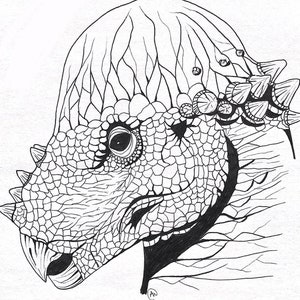 Pachycephalosaurus