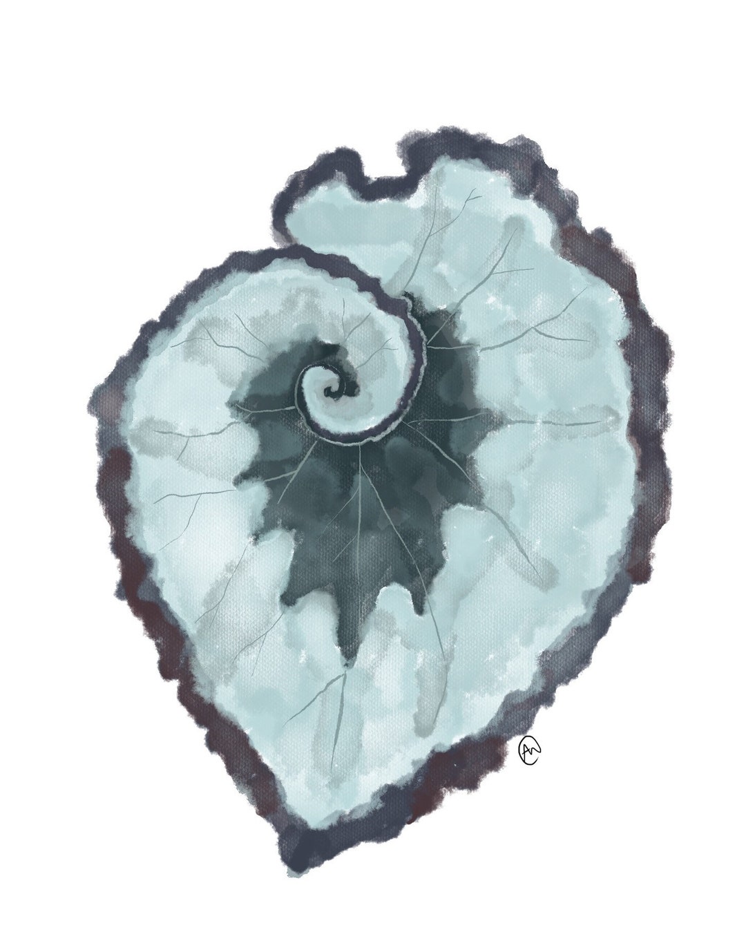 Escargot Begonia Painting - Etsy