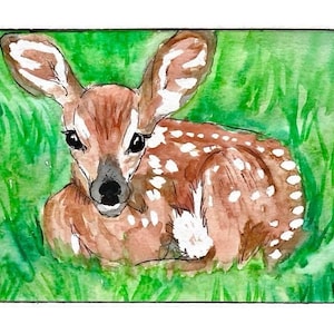 Deer