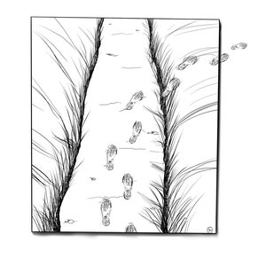 Path