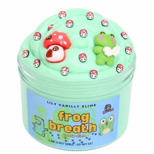 May include: A clear plastic container filled with light green slime, topped with small mushroom charms and a green frog charm with white wings. The label reads LILY VANILLY SLIME, frog breath, glossy slime, and SLIME IS NOT EDIBLE - DO NOT EAT.