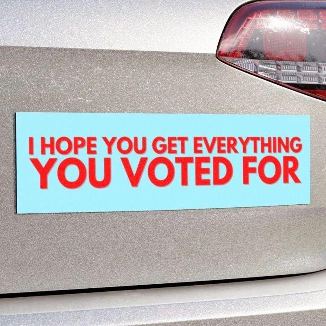 I Hope You Get Everything You Voted for Car Magnet or Bumper Sticker ...