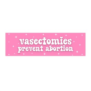 Vasectomies Prevent Abortion Car Magnet or Bumper Sticker, My Body My Choice Decal, Feminist Protest Womens Reproductive Rights, Roe vs Wade image 4
