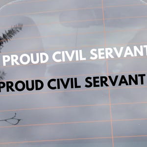 Proud Civil Servant Vinyl Window Decal, Protest Resist Anti-Trump Support Federal Employees Sticker, Hold The Line, Not My President FDT Car