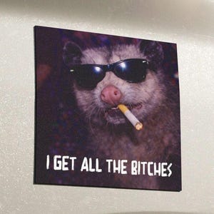 May include: A square print featuring a possum wearing sunglasses and smoking a cigarette. The text "I GET ALL THE BITCHES" is printed in white at the bottom of the image. The possum has a pink nose and is set against a dark background.