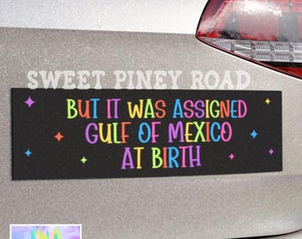 Gulf Of Mexico Car Magnet, Anti Trump Bumper Sticker, But It Was Assigned At Birth Decal, Resist FDT Gift, Funny LGBTQIA+ Political Humor