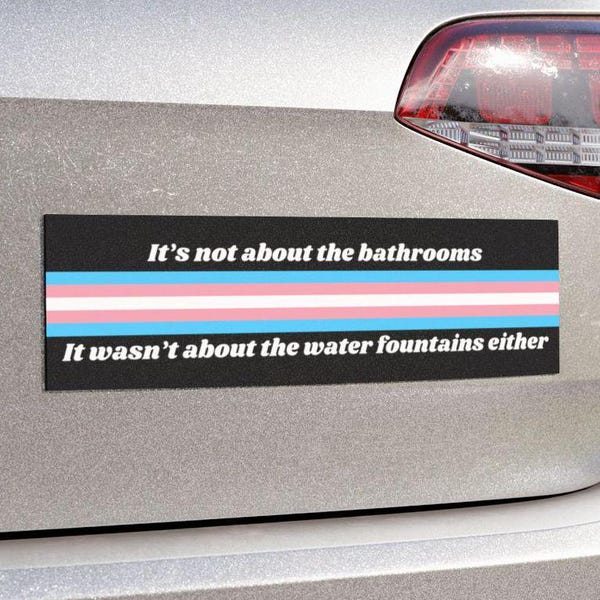Bathrooms Water Fountain Car Magnet or Bumper Sticker, Support Trans Kids, Equality Hurts No One, Pro Democracy, Coexist Defend Decal, LGBTQ