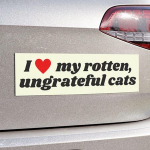 I Love My Rotten Ungrateful Cats Funny Cute Bumper Sticker, Car Vehicle Decal, Waterproof Weatherproof Kitty Lover Gift Car Magnet