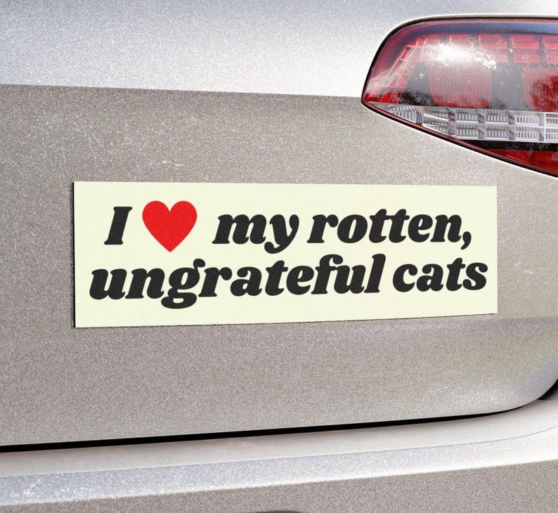 I Love My Rotten Ungrateful Cats Funny Cute Bumper Sticker, Car Vehicle Decal, Waterproof Weatherproof Kitty Lover Gift Car Magnet