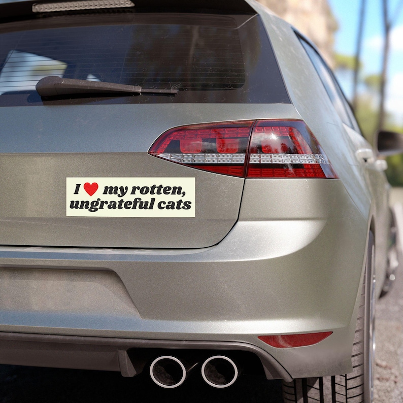 I Love My Rotten Ungrateful Cats Funny Cute Bumper Sticker, Car Vehicle Decal, Waterproof Weatherproof Kitty Lover Gift image 5